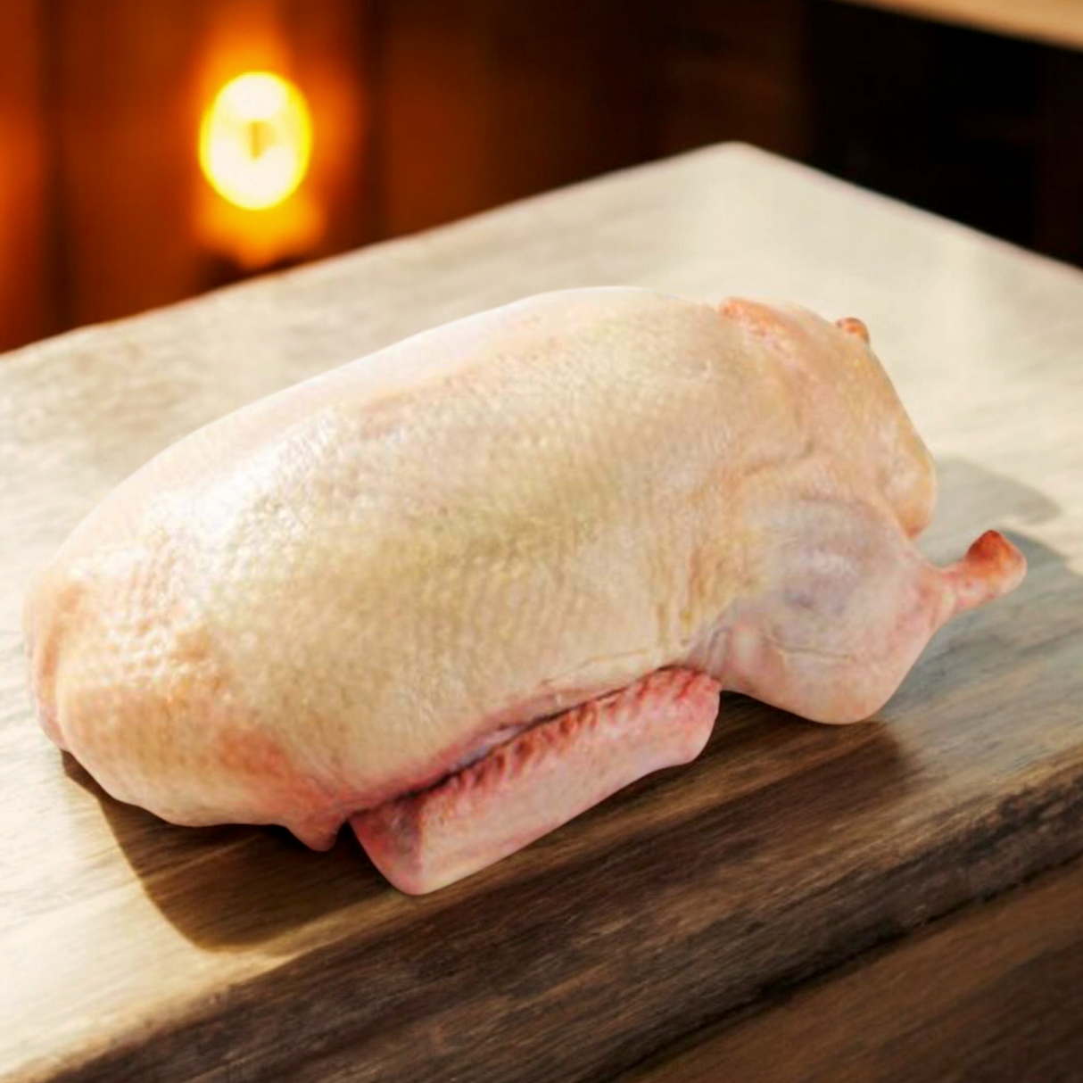 Frozen Female duck