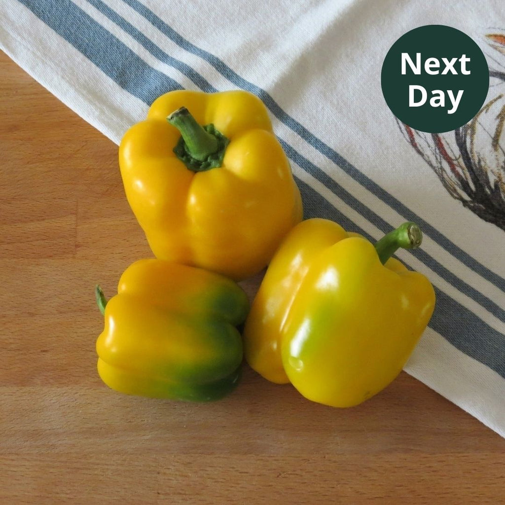 Yellow capsicums, Maison Duffour, Dubai, UAE