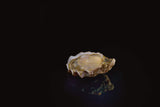 Oysters Boudeuse n°4, Herve Oyster