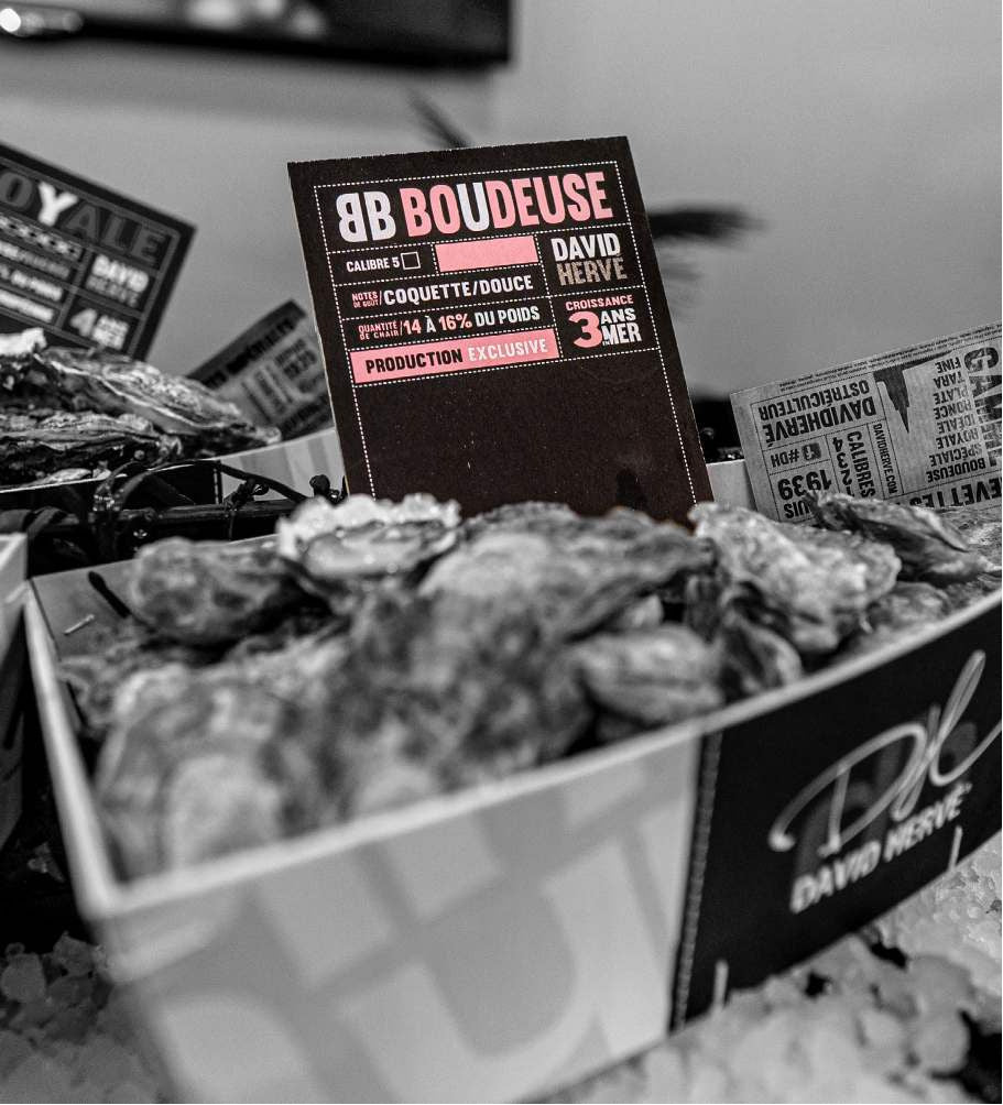 Oysters Boudeuse n°4, Herve Oyster