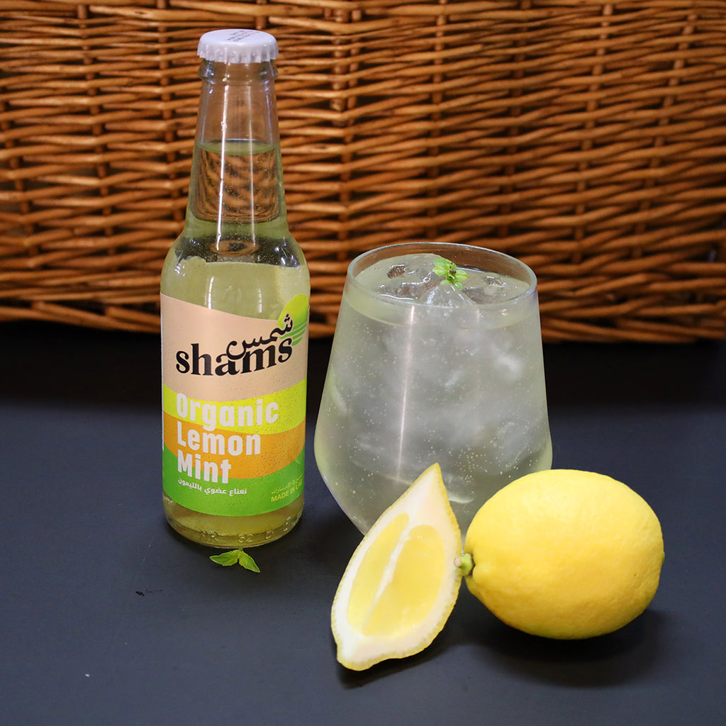 Organic Lemon Mint Soda, Maison Duffour, Dubai, UAE