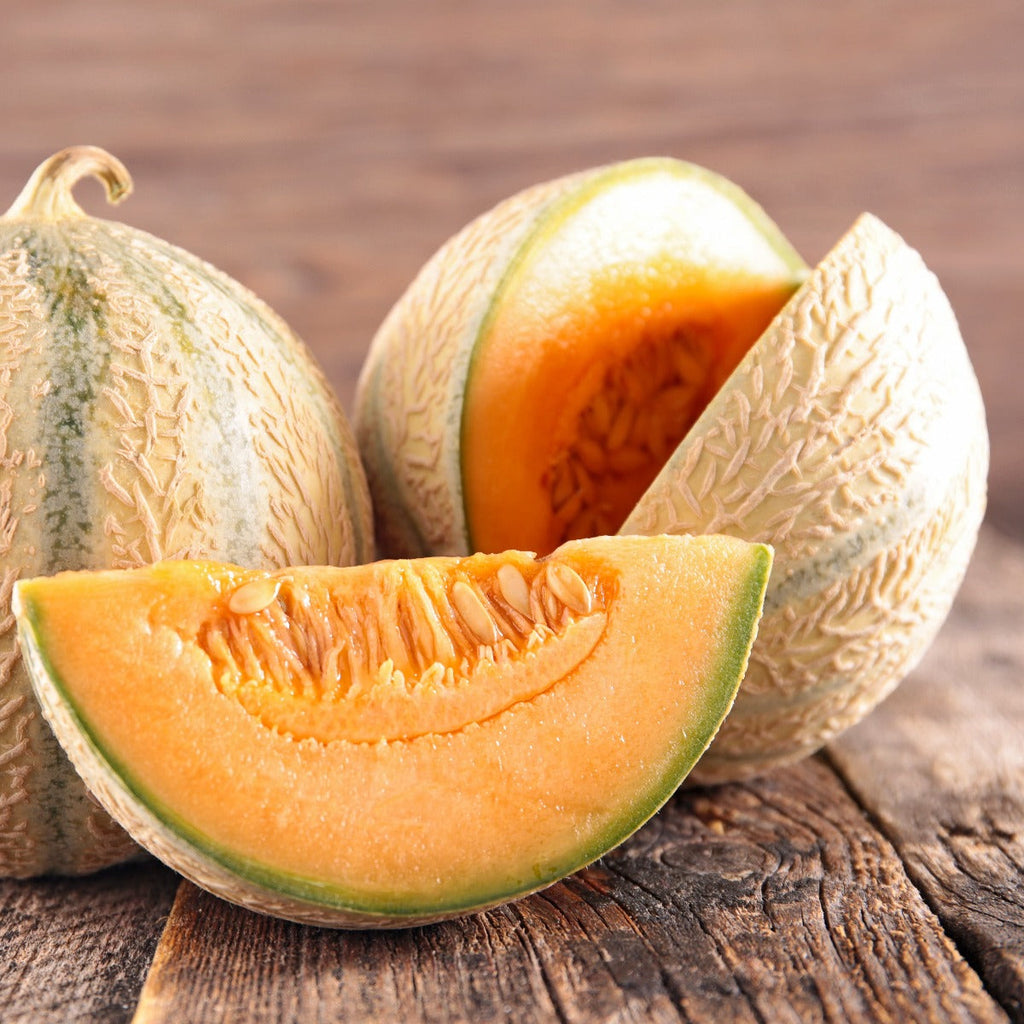 Charentais melon, France | Maison Duffour
