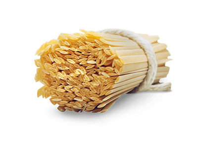 Fettuccine, organic | Maison Duffour