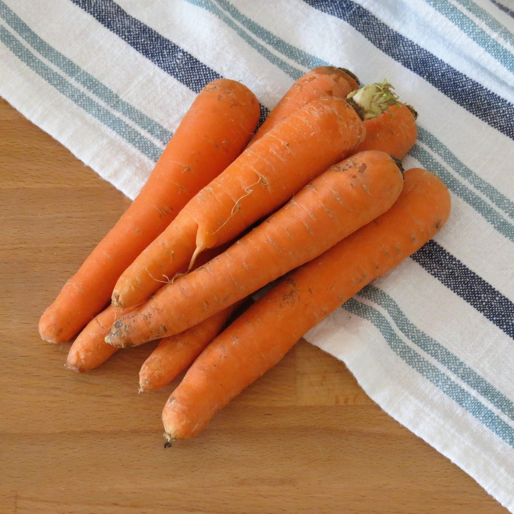 Carrot | Maison Duffour 