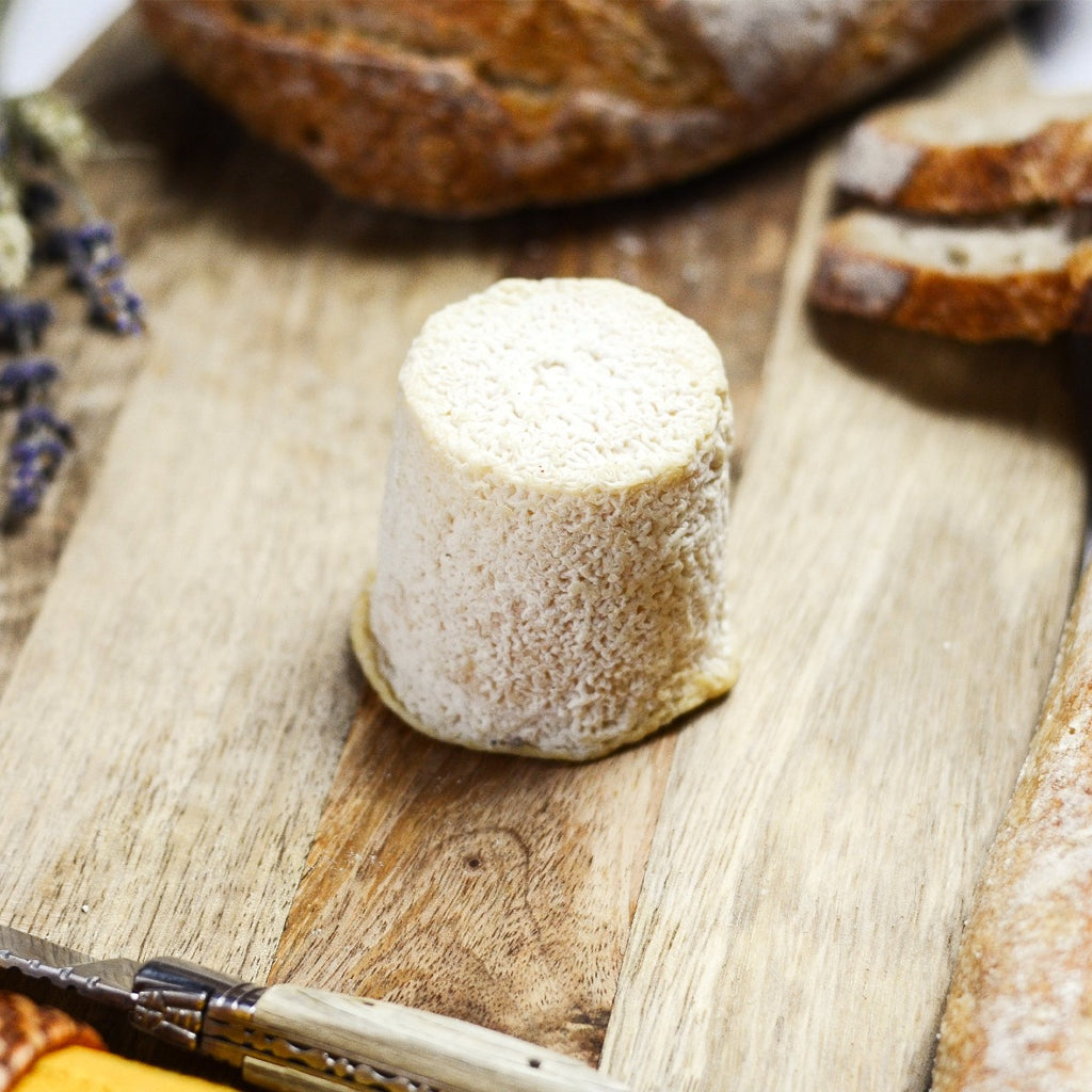 Chabichou du Poitou french cheese - Maison Duffour