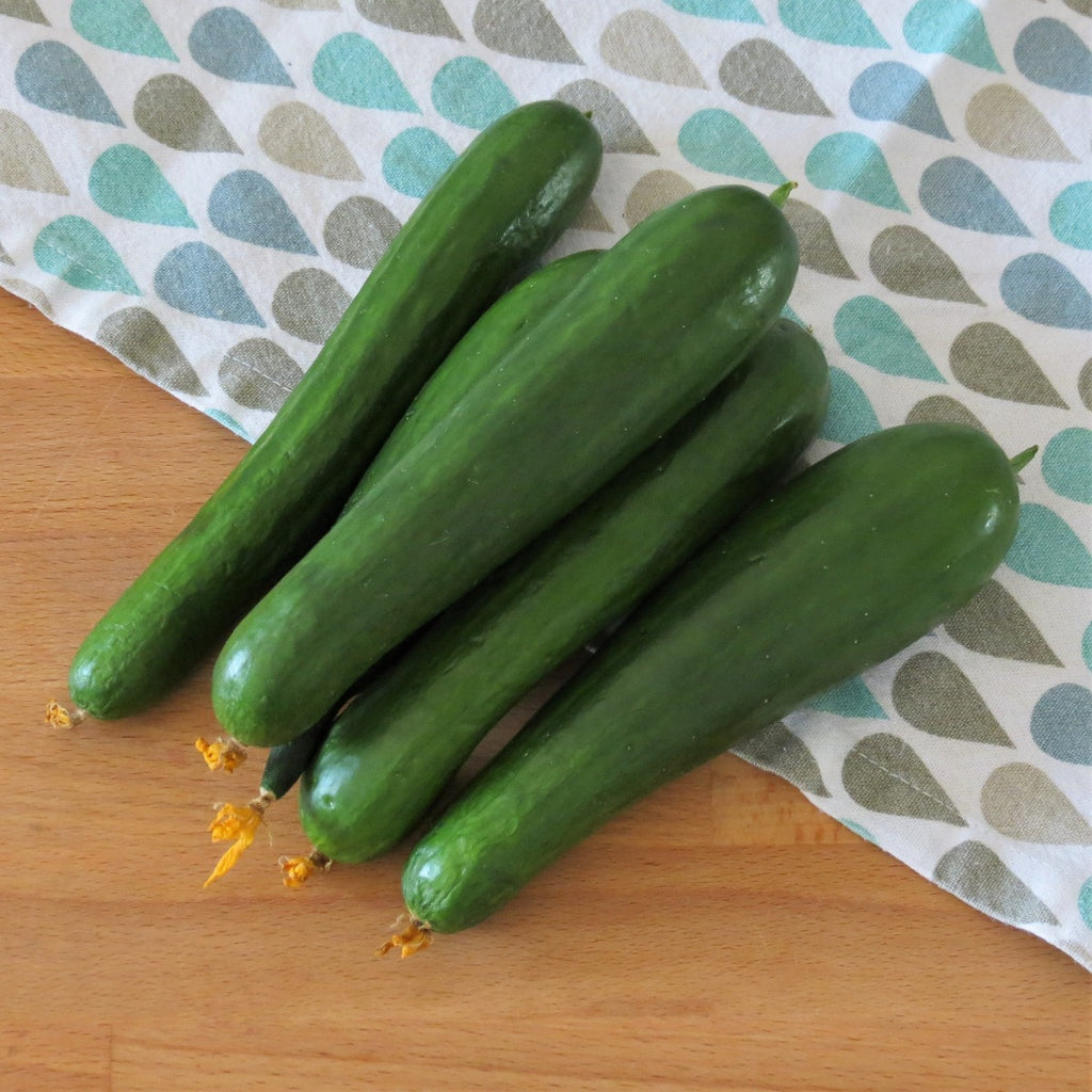Cucumber, fresh vegetable | Maison Duffour 