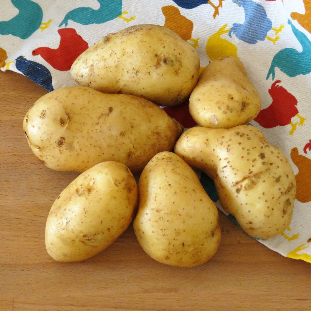 Potato, Maison Duffour, Dubai, UAE