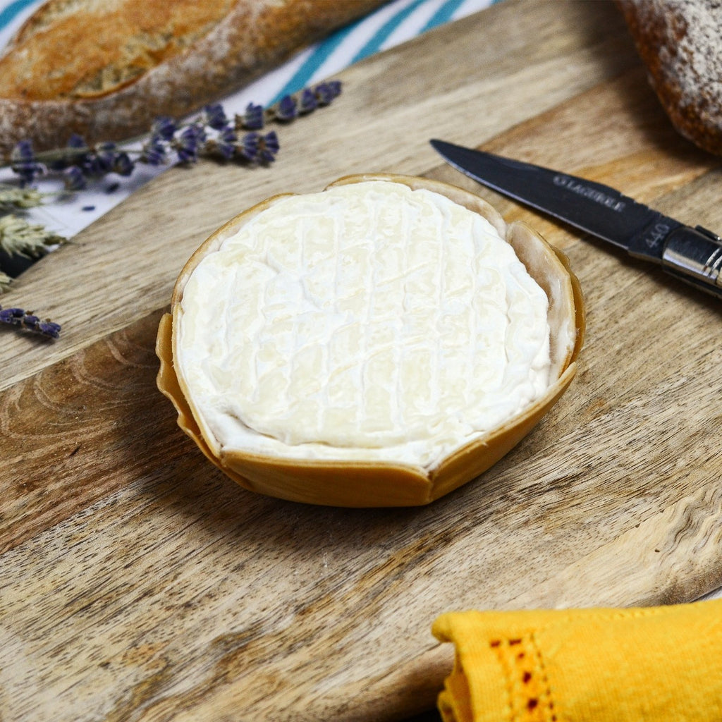 Saint Felicien french cheese - Maison Duffour
